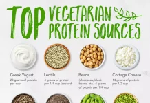 Top Vegetarian Protein Sources